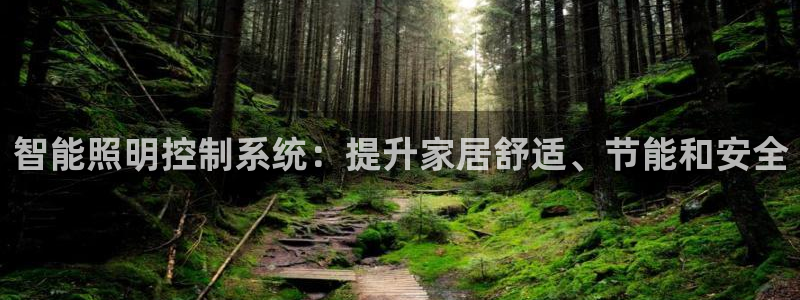 智能照明控制系统：提升家居舒适、节能和安