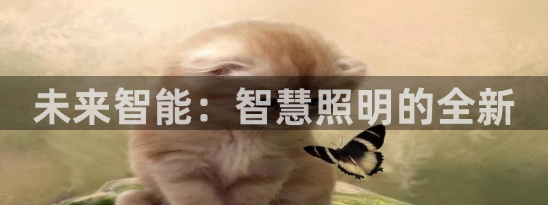 未来智能：智慧照明的全新