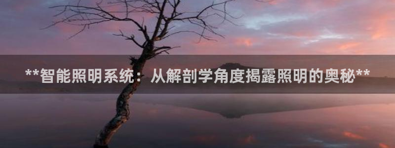 **智能照明系统：从解剖学角度揭露照明的奥秘**