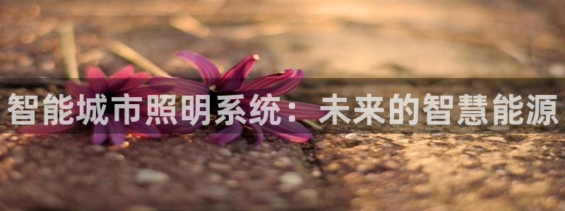 智能城市照明系统：未来的智慧能源