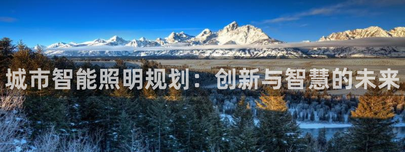 城市智能照明规划：创新与智慧的未来