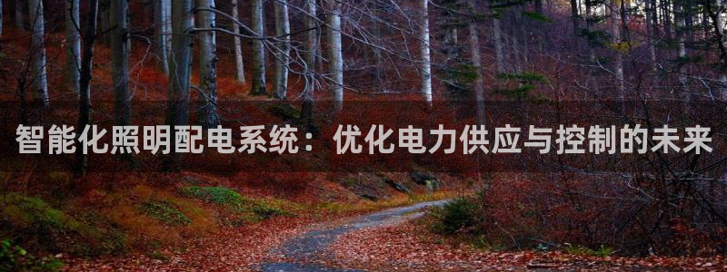 智能化照明配电系统：优化电力供应与控制的未来