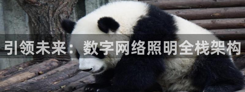 引领未来：数字网络照明全栈架构