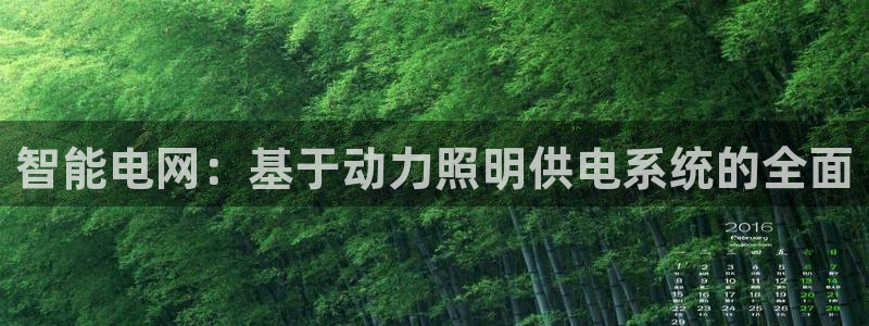 智能电网：基于动力照明供电系统的全面