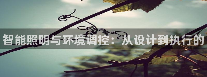 智能照明与环境调控：从设计到执行的