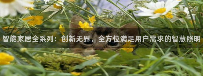 智能家居全系列：创新无界，全方位满足用户