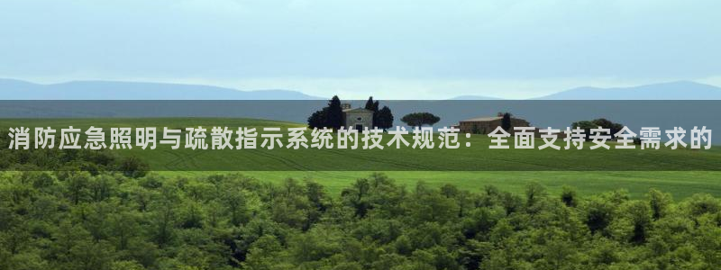 消防应急照明与疏散指示系统的技术规范：全面支持安全需求的