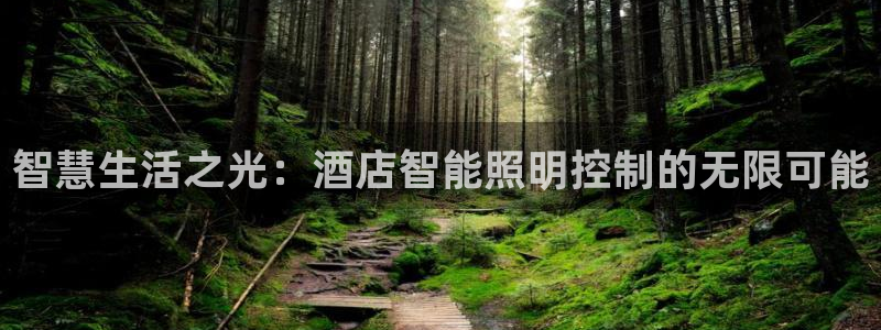 智慧生活之光：酒店智能照明控制的无限可能