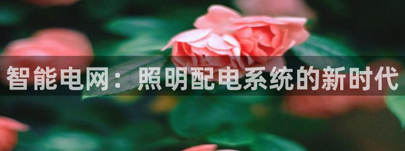 智能电网：照明配电系统的新时代