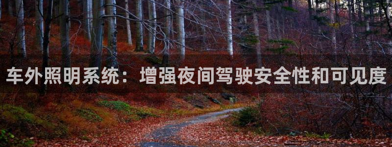 车外照明系统：增强夜间驾驶安全性和可见度