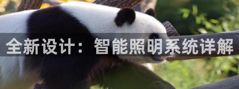 全新设计：智能照明系统详解