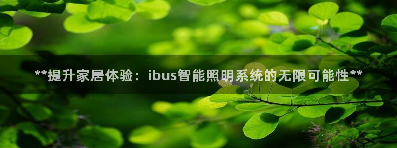 **提升家居体验：ibus智能照明系统的无限可能性**