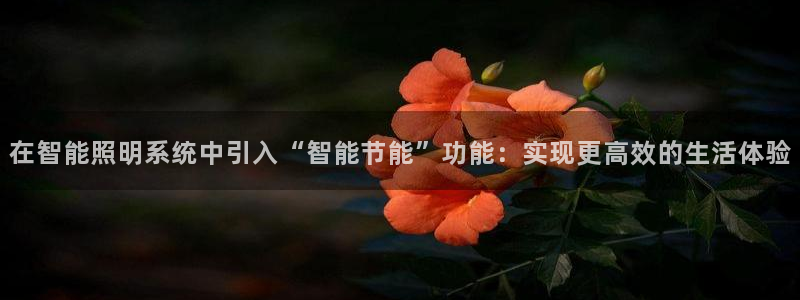 在智能照明系统中引入“智能节能”功能：实现更高效的生活体验