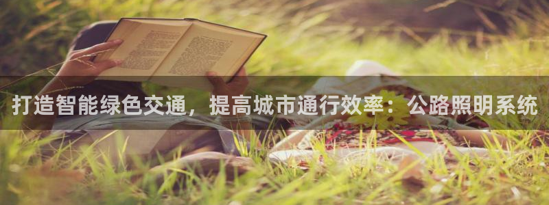 打造智能绿色交通，提高城市通行效率：公路照明系统