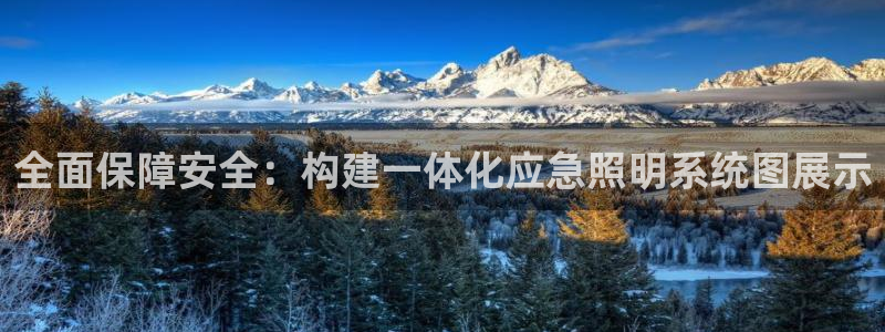 全面保障安全：构建一体化应急照明系统图展